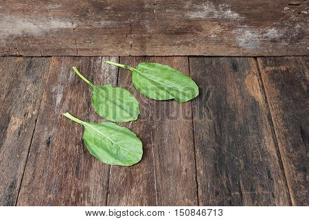 Chinese kale fresh vegetable on wooden table background Top view with copy space.