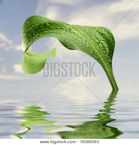 foglia verde con gocce sotto un cielo blu