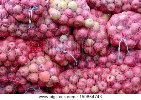 picture of a ripe apples in a mesh bags for industry