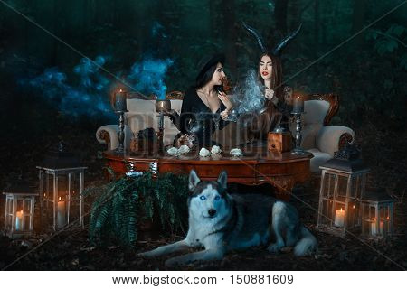 Girls of the witch in the wood cook a magical potion the wolf lies nearby.