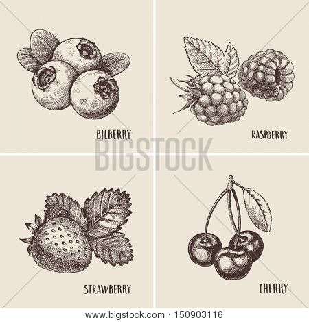 Hand drawn sketch style berries set. Raspberry with leafs, strawberries, cherry and blueberries branch.