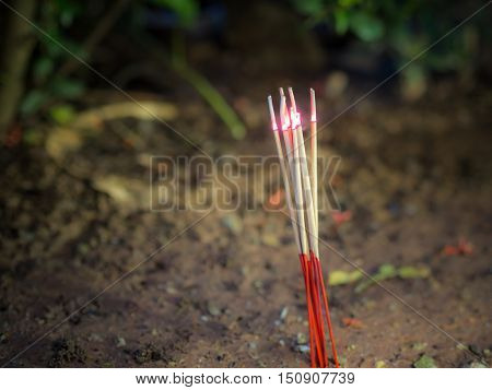 Burning Incense sticks , at night. Thailand.