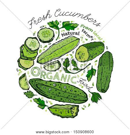 Beautiful handdrawn pattern in bright green colours. Vector illustration with cucumbers and cucumber slices in unique artistic style on a white background. Natural and organic food creative concept.