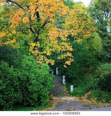 Stairs to the Valaam Cathedral. Yellow autumn leaves. Aged photo. Footway from a pier to the Valaam Monastery. Toned image. Retro filter. Island of Valaam Republic of Karelia Russia.