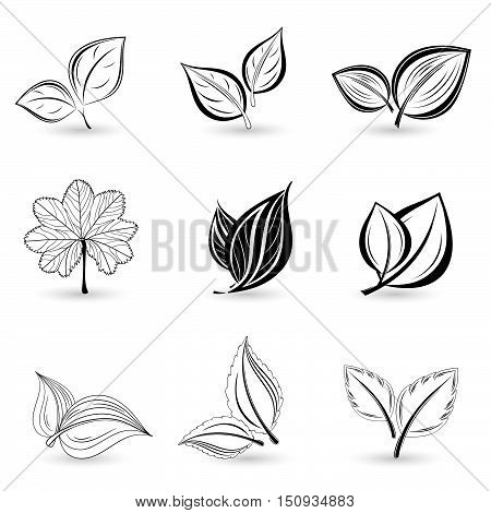 Set of monochrome isolated leaves. Element for design. Vector illustration.