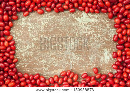 Fresh picked dogwood berries frame with copyspace