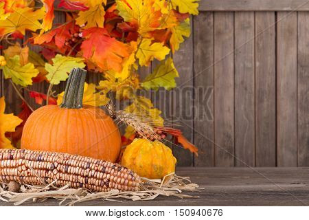 Fall pumpkin squash and corn with colorful leaf dcoration in background