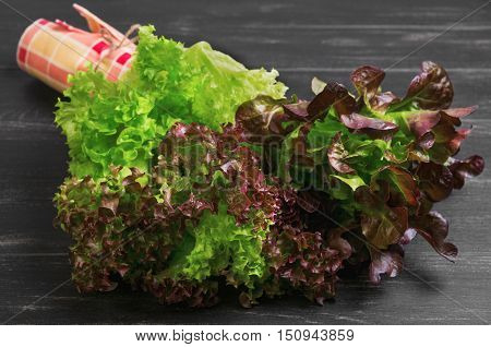 Bundle of fresh leaves of green and red lettuce. Napkin cloth. Varieties of leaves lettuce salad Roxay Lugano Satin. Dark black wooden background.