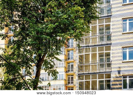 New modern multistorey apartment building with tree on the foreground