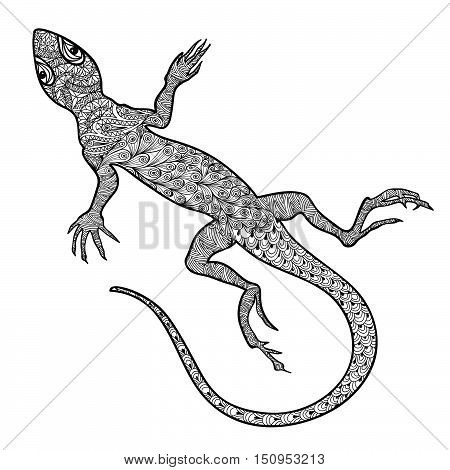 Lizard isolated. Hand drawn vector salamander with ethnic tribal ornamental zentagle pattern. Sketch of lizards reptiles with long curved tails