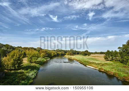 Trees growing on the river Warta bank near the Poznan