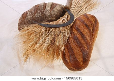bunch of mown wheat ears with vintage handmade reaper hook sickle and rye and white dark french fresh bread loaf on light linen tablecloth