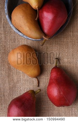 Top view of a group of red and Bosc pears on a burlap surface. Vertical format.