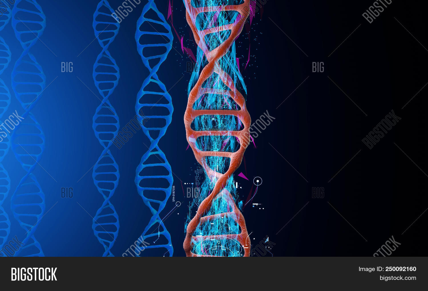 Physical Model Dna On Image & Photo (Free Trial) | Bigstock