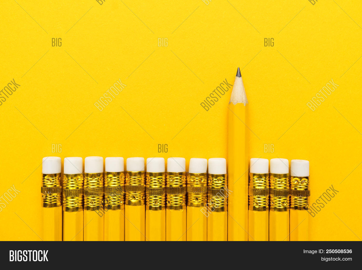 Row Yellow Pencils. Image & Photo (Free Trial) Bigstock