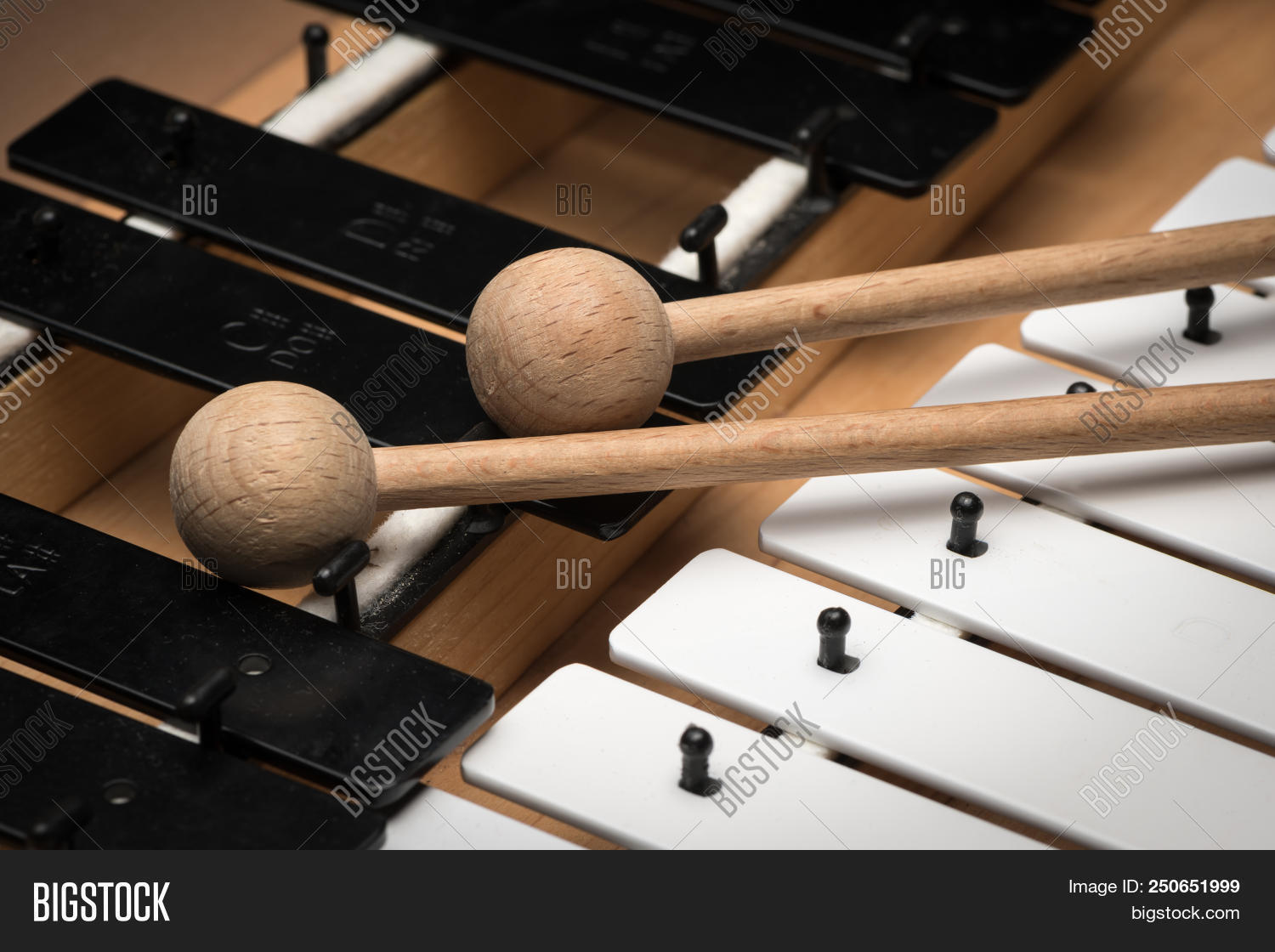 Details Glockenspiel Image & Photo (Free Trial) Bigstock