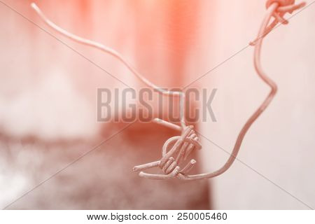 Old Barbed Wire, Security And Rusty Objekt