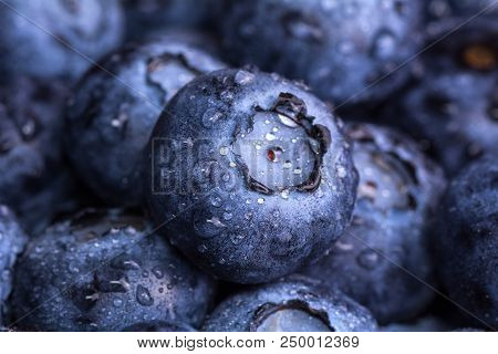 Fresh Ripe Blueberry With Drops Of Dew. Berry Background. Macro Photo.
