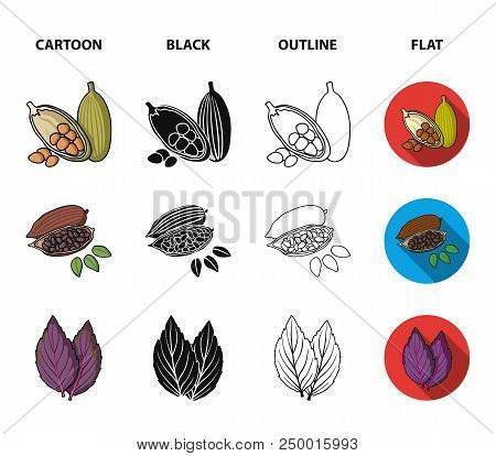 Dill, Cocoa Beans, Basil.herbs And Spices Set Collection Icons In Cartoon, Black, Outline, Flat Styl