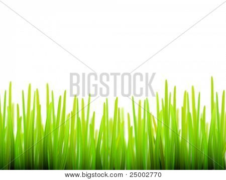 Vektor-Gras-illustration