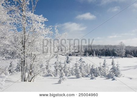 Winter-Ansicht