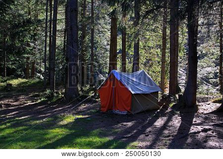 Tent In The Coniferous Forest In The Foothills Carpathian, Ukraine