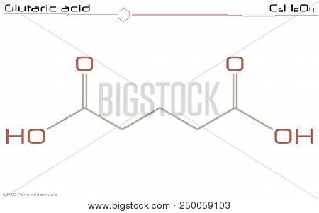 Large And Detailed Infographic Of The Molecule Of Glutaric Acid