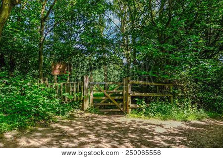 Summer Shot Of Closed Wooden Gate On A Forest Path With Dappled Sunlight.