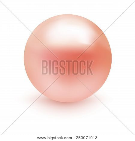 Realistic Soft Pink Pearl Isolated On White Background.