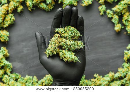 Grinder A Lot Ofx Marijuana, Fresh Buds Of Cannabis Many Weed. Copy Spase Copy-space