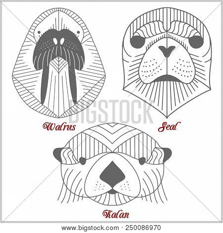 Set Of Polygonal Animals. Polygonal Logos. Geometric Set Of Kalan, Seal, Walrus Isolated On White Ba