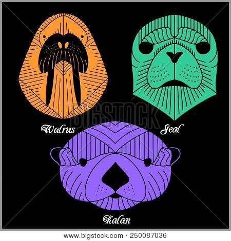Set Of Polygonal Animals. Polygonal Logos. Geometric Set Of Kalan, Seal, Walrus Isolated On Black Ba