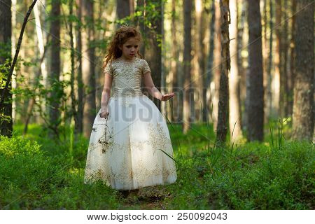 Little Girl Walks In A Summer Forest In A Dress