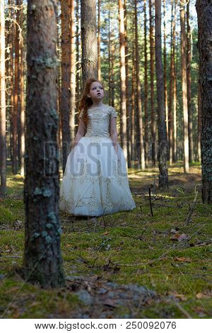Little Girl Walks In A Summer Forest In A Dress