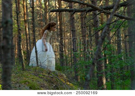Little Girl Walks In A Summer Forest In A Dress