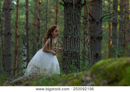 Little Girl Walks In A Summer Forest In A Dress