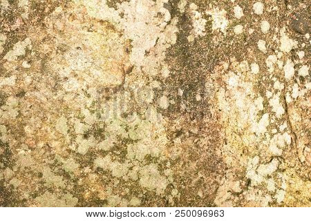 Abstract Background And Texture Of Moss On The Stone.