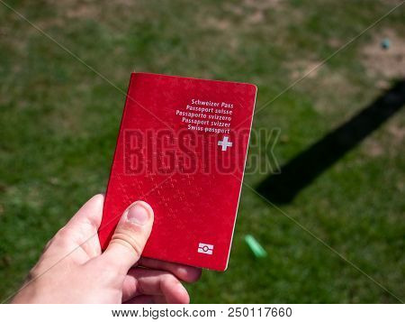 Person Holding The Swiss Passport On A Sunny Day Grass Background