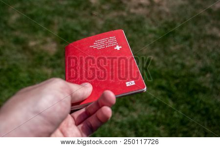 Person Holding The Swiss Passport On A Sunny Day Grass Background