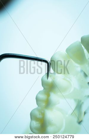 Dentist Cleaning Teeth
