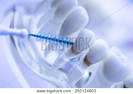 Interdental Teeth Clean Brush