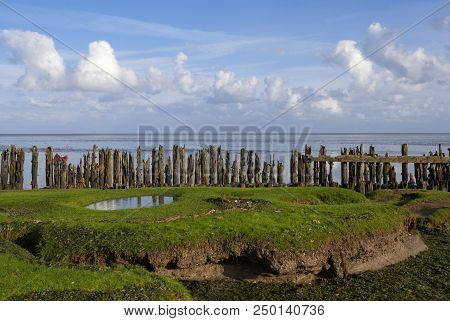 Row Of Poles In The Waddensea Near The Frisian Village Moddergat