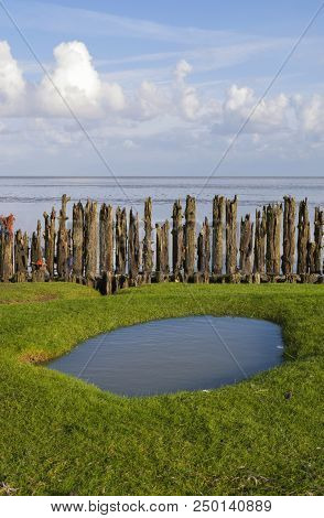 Row Of Poles In The Waddensea Near The Frisian Village Moddergat