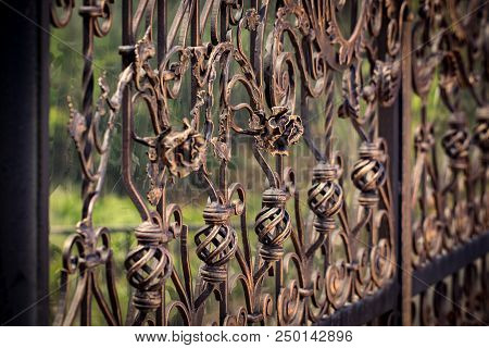 Ornate Wrought-iron Elements Of Metal Gate Decoration