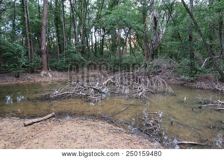 Rustrel, France - July 14, 2018: Photography Showing A Small Swamp. The Photography Was Taken From T