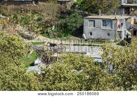 Nest Of Storks In Darreh Tafi Village Near Zarivar Lake, Darreh Tafi Village, 15kms West Of Marivan,