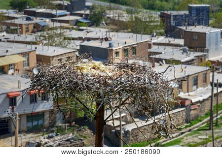 Nest Of Storks With Eggs In Darreh Tafi Village Near Zarivar Lake, Darreh Tafi Village, 15kms West O