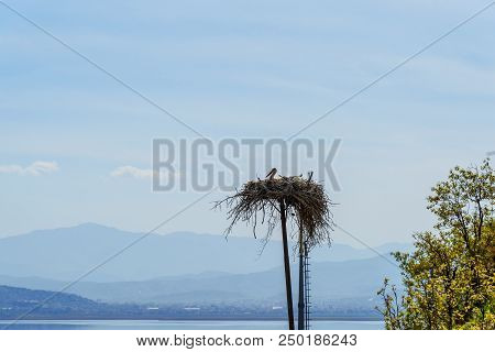 Nest Of Storks In Darreh Tafi Village Near Zarivar Lake, Darreh Tafi Village, 15kms West Of Marivan,