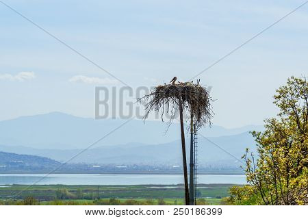 Nest Of Storks In Darreh Tafi Village Near Zarivar Lake, Darreh Tafi Village, 15kms West Of Marivan,