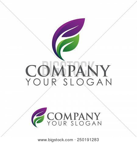 Logo Of Leaf Ecology Nature Element Vector Icon. Design Shape Leaf Logo And Abstract Organic Leaf Lo